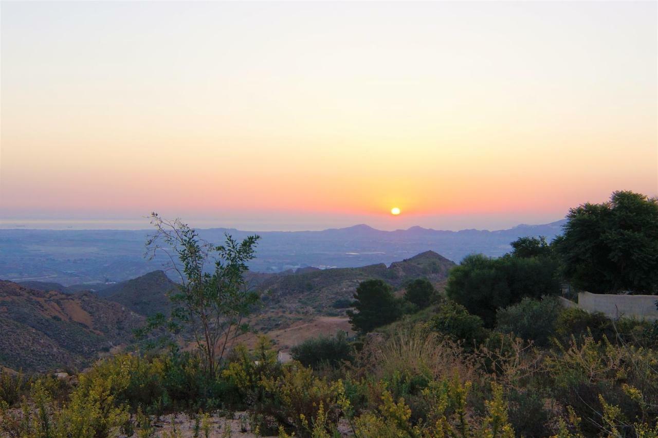 Villa El Pinar Bedar Bagian luar foto